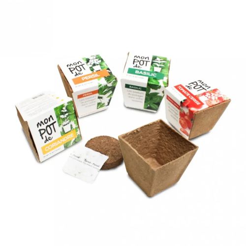 Sustainable grow kit - Image 2